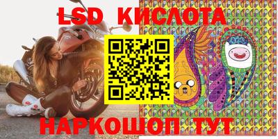 гашик Донской