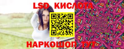 гашик Донской