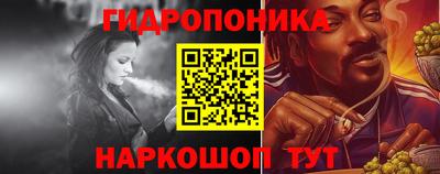 гашик Донской