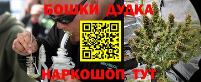 гашик Донской