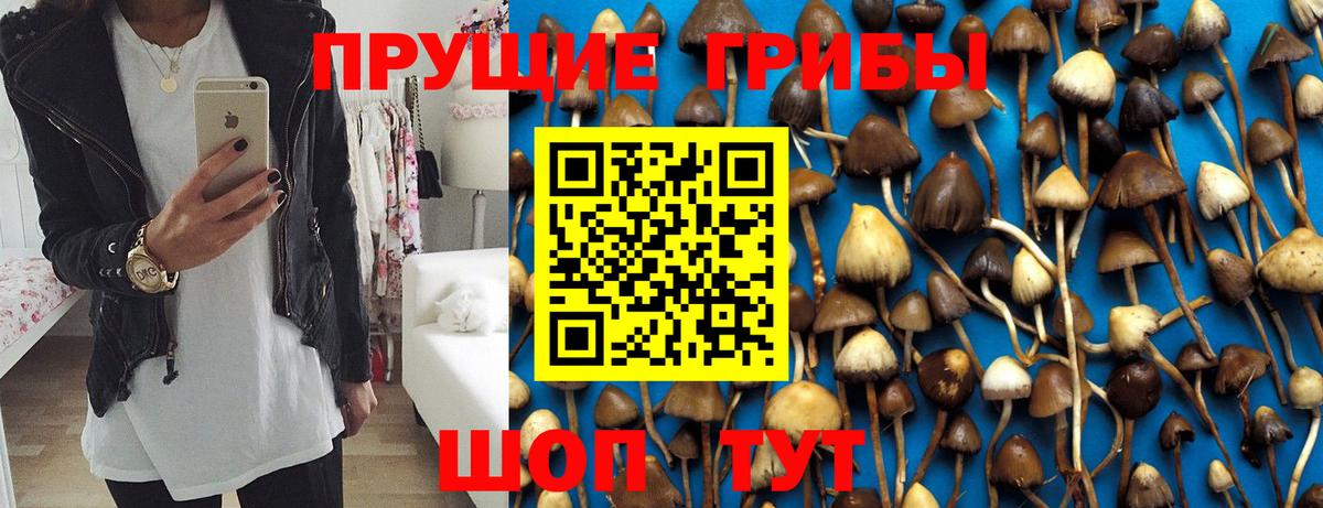 Галлюциногенные грибы GOLDEN TEACHER  Вход с VPN  Ливны  закладки  Галлюциногенные грибы Cubensis 